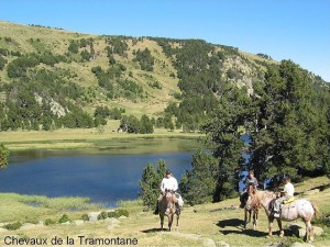 Le lac d'Aude (Les Angles). Photo Chevaux de la Tramontane (Wiki Commons). 